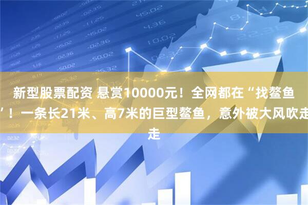 新型股票配资 悬赏10000元！全网都在“找鳌鱼”！一条长21米、高7米的巨型鳌鱼，意外被大风吹走